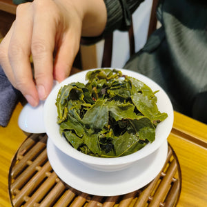 梨山冬片高冷茶台灣高山茶
