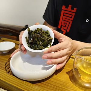 台灣高山茶春茶杉林溪龍鳳峽高山茶泡完的葉底