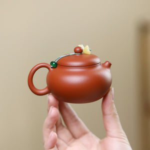 朱泥小品文旦壺100cc