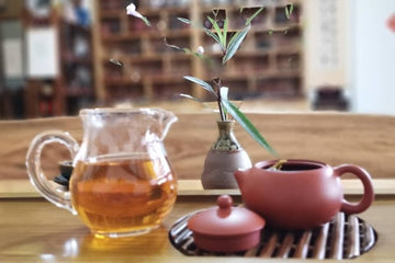 泡普洱茶的技巧與秘訣