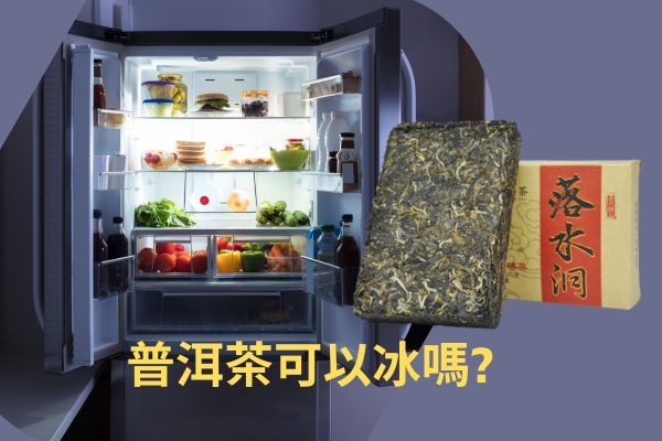 普洱茶可以放冰箱儲存嗎?