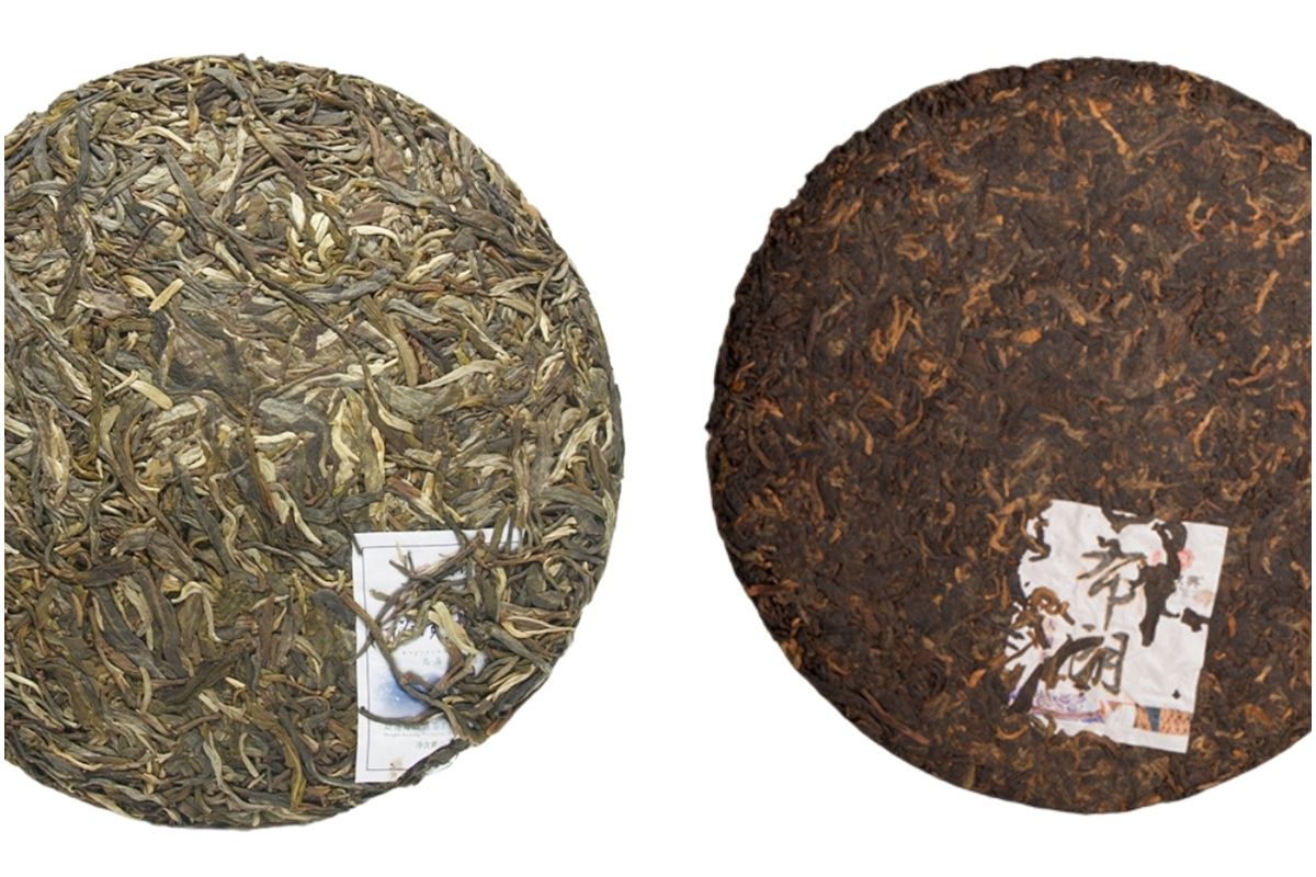普洱茶生餅與普洱茶熟餅