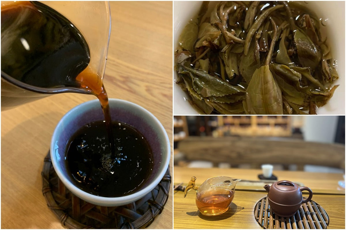 普洱茶怎麼泡才好喝？ 生熟茶沖泡方式、水溫、醒茶完整教學