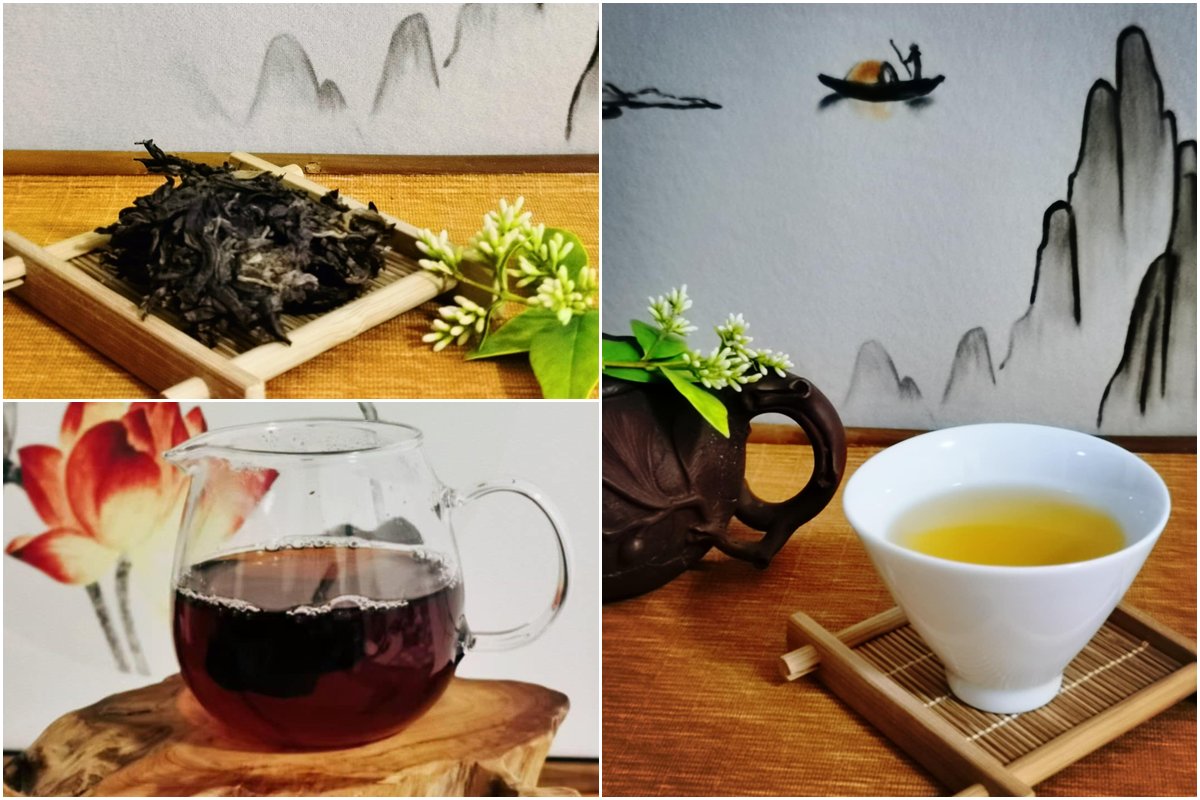 普洱生茶熟茶差在哪？新手選購指南