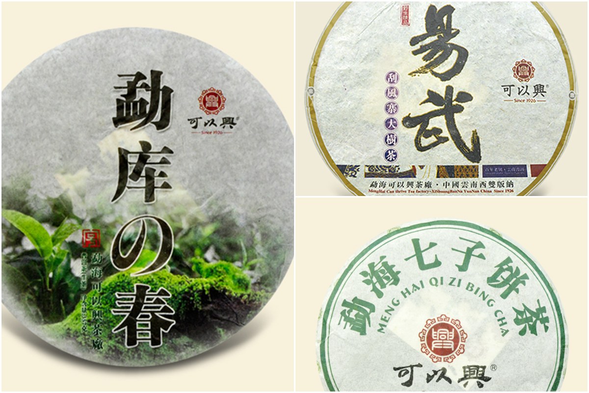 普洱茶產區大解密：勐海、易武、臨滄怎麼喝出差異