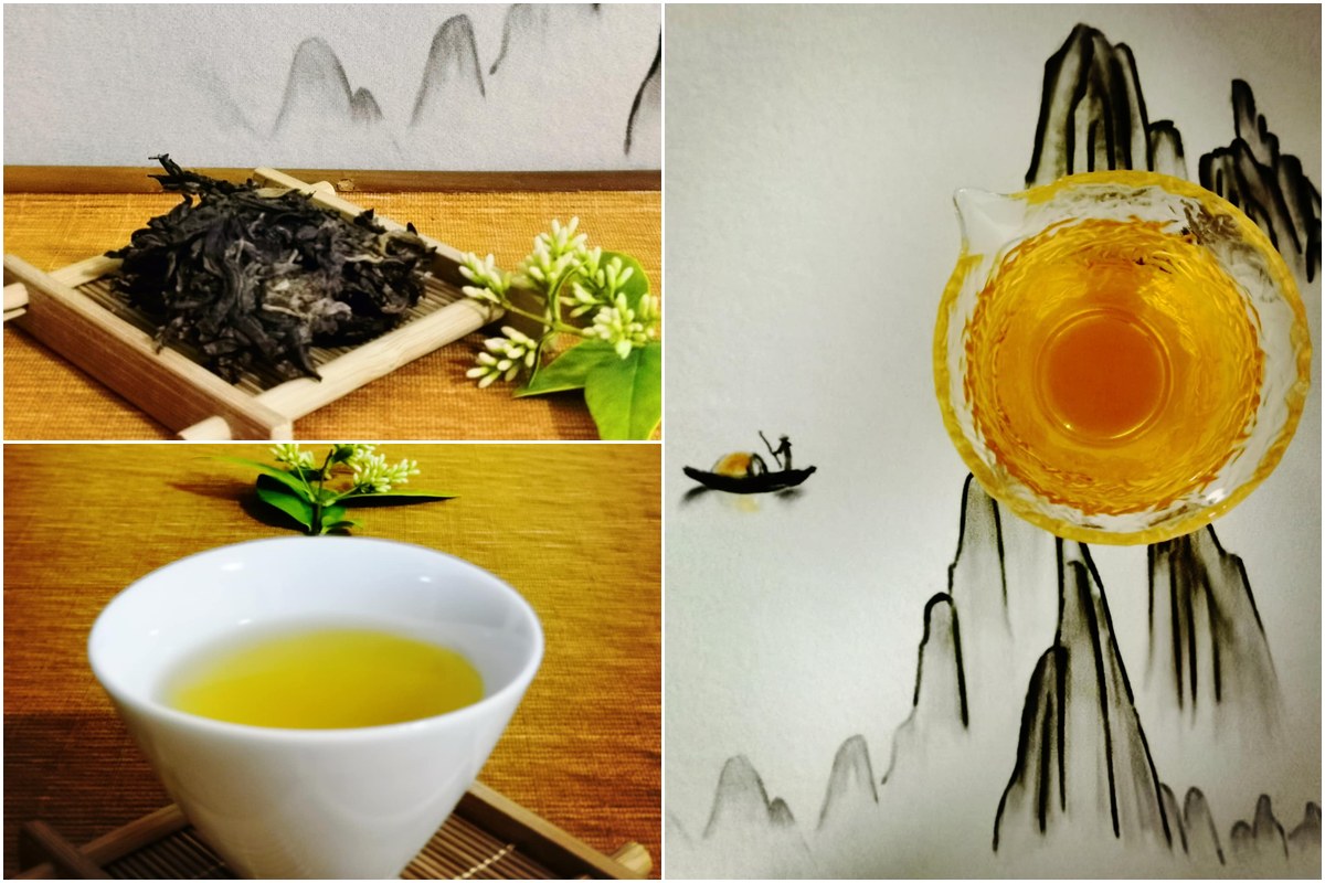 普洱茶年份怎麼看？乾倉濕倉全解析