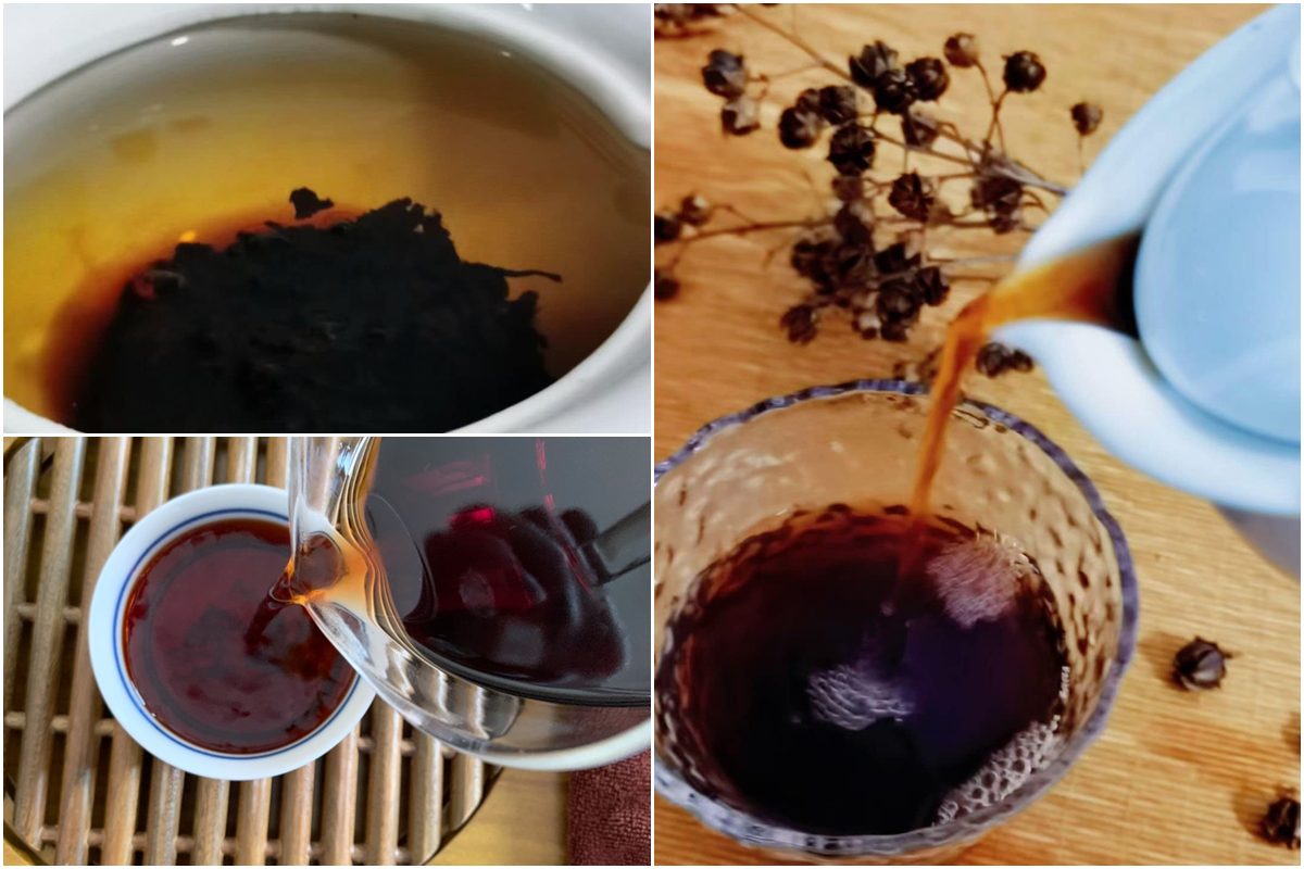 普洱茶正確沖泡法：水溫、時間、茶具全解析