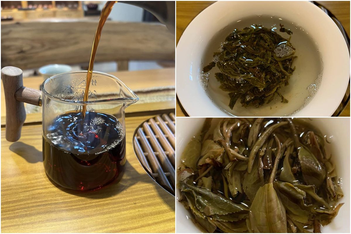 普洱茶價格差在哪？從百元到萬元的合理行情