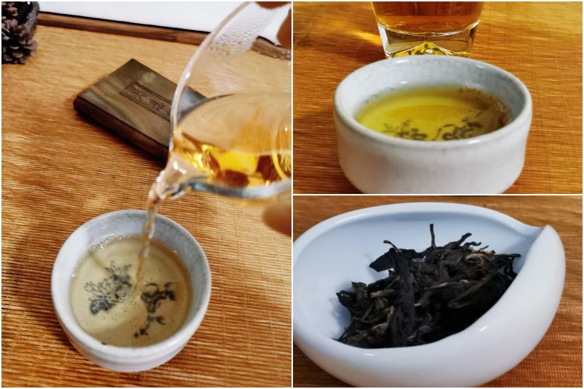 普洱茶什麼時候喝？飲用時機與族群注意事項