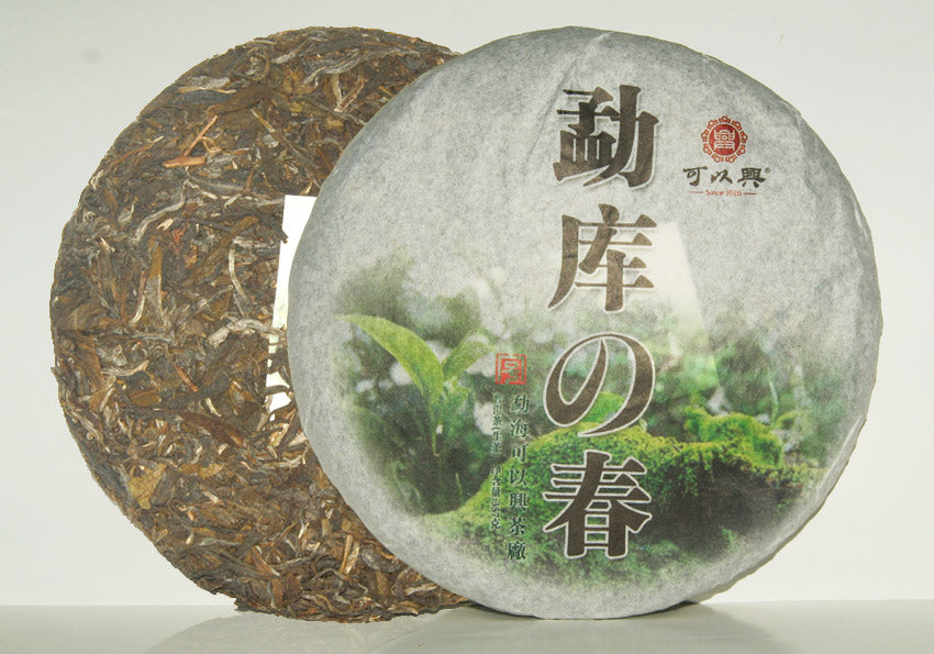 雲南大葉茶品種英豪-勐庫種