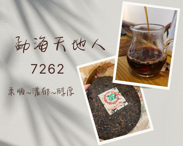 勐海熟茶天地人茶廠7262熟餅茶