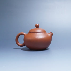 紫砂壺宜興紅降坡泥文旦壺110cc