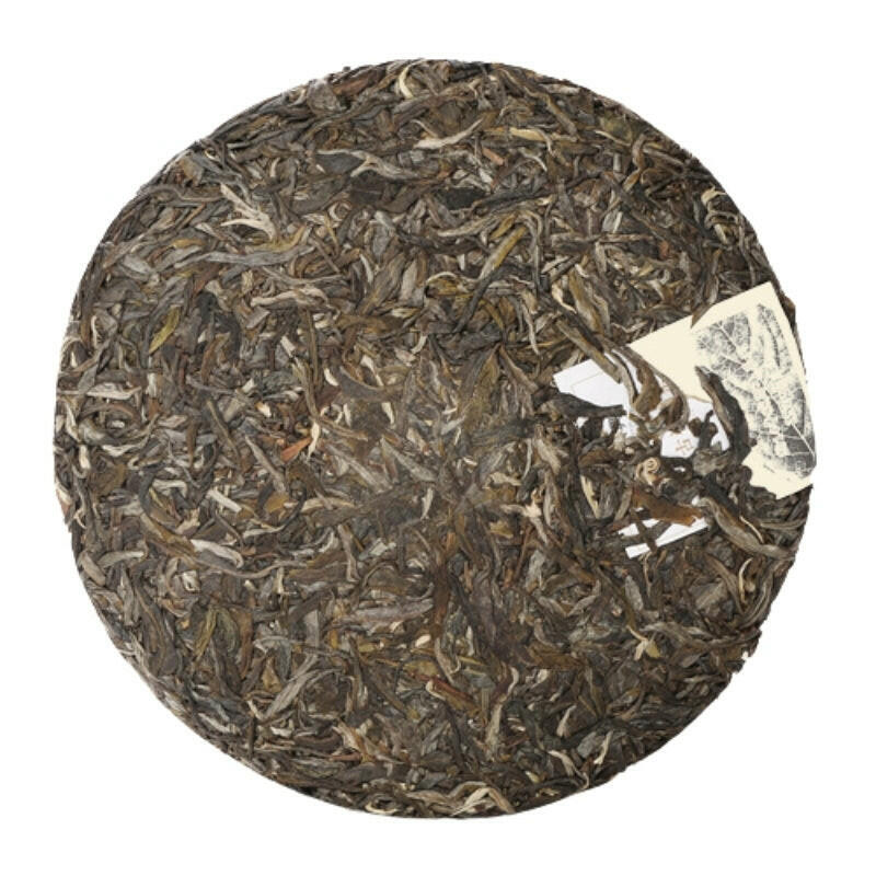 2014年可以興帕沙古樹圓茶